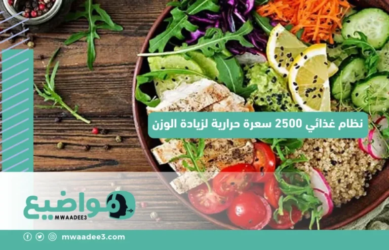 نظام غذائي 2500 سعرة حرارية لزيادة الوزن