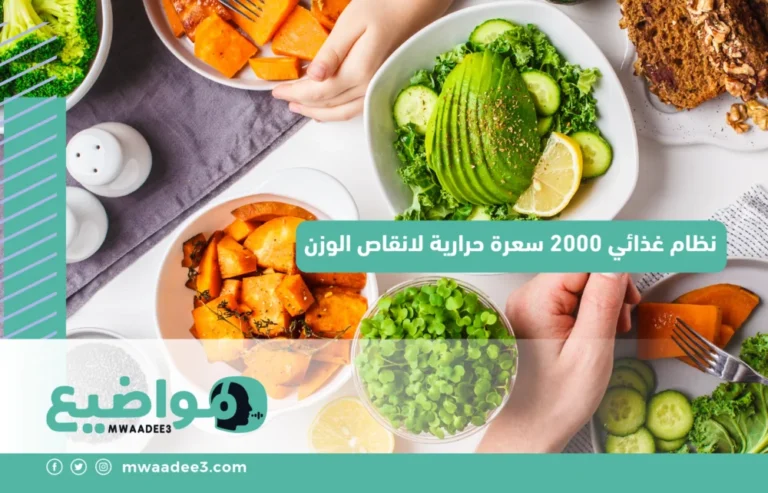 نظام غذائي 2000 سعرة حرارية لانقاص الوزن