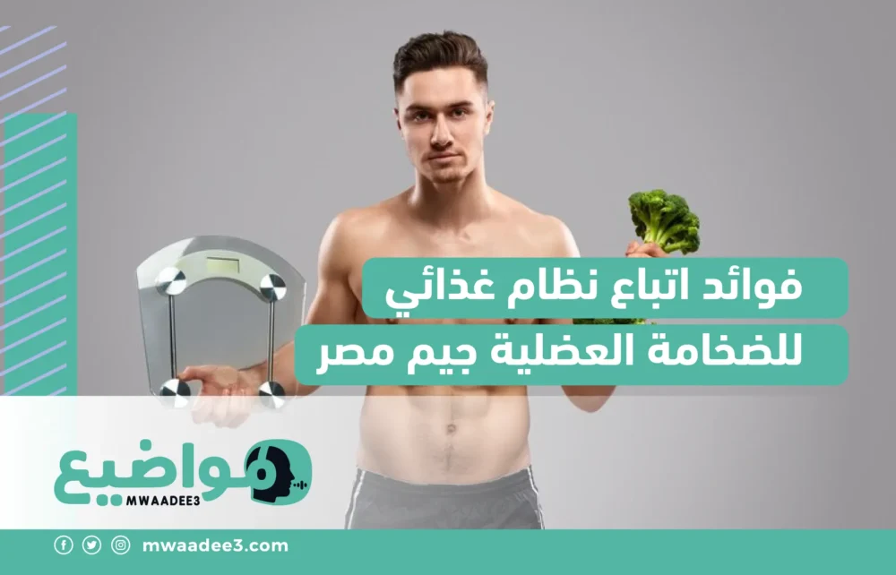 فوائد اتباع نظام غذائي للضخامة العضلية جيم مصر
