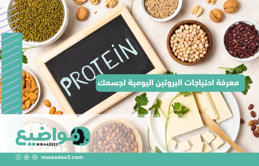 معرفة احتياجات البروتين اليومية لجسمك