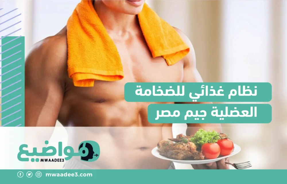 نظام غذائي للضخامة العضلية جيم مصر