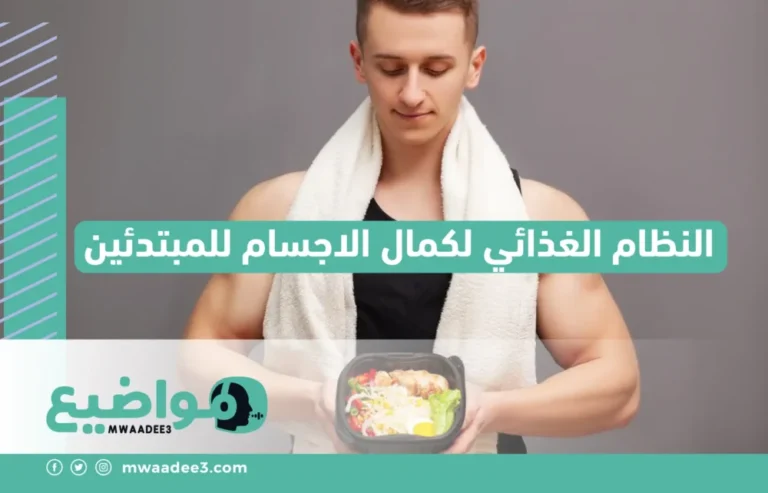 النظام الغذائي لكمال الاجسام للمبتدئين