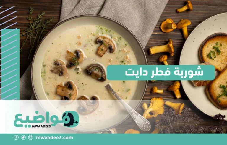 شوربة فطر دايت