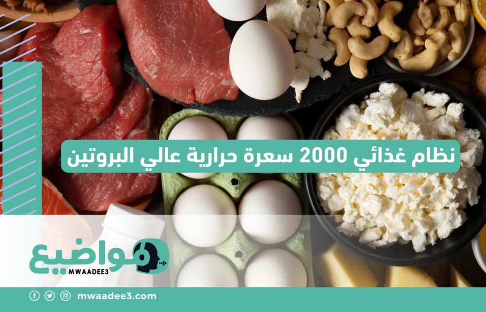 نظام غذائي 2000 سعرة حرارية عالي البروتين